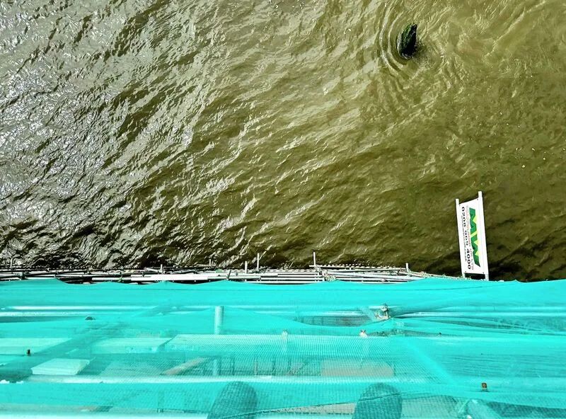 Narrow Street, Limehouse photo 7